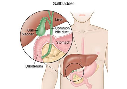 Dr. Kshitiz saran Clinic Gallery  Image 12